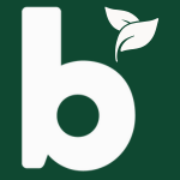 bRaw logo
