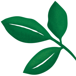 Fancy Plants logo