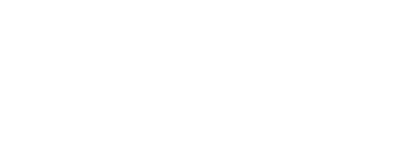 Phyba logo